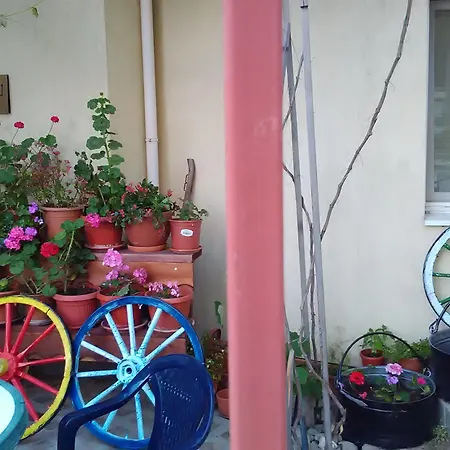 Ξενοδοχείο με διαμερίσματα Sunny Νεσέμπαρ